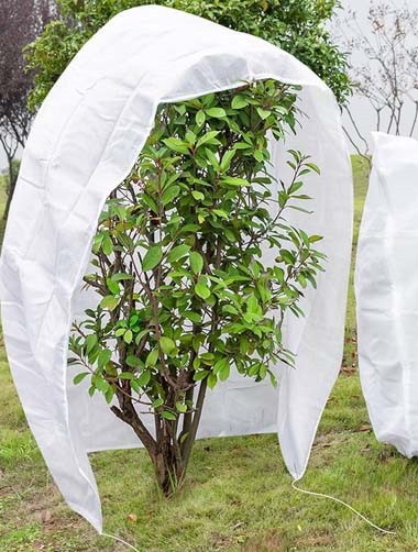spunlace-for-plant-cover spunlace-for-plant-cover